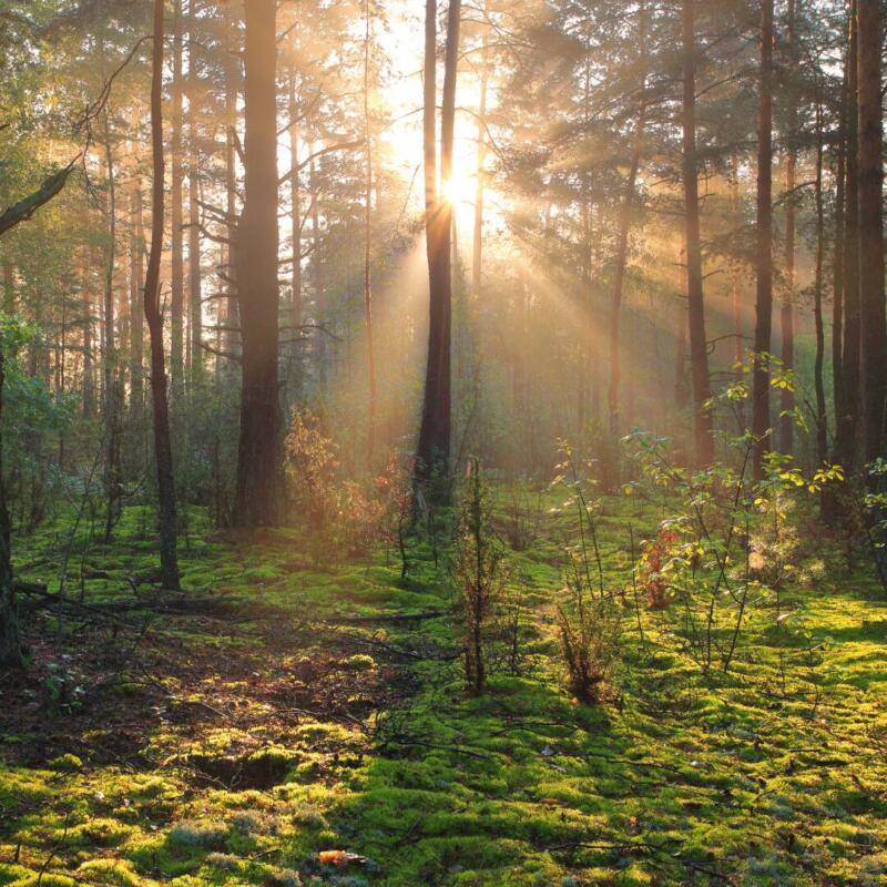 Έπιπλα κουζίνας με υπευθυνότητα: Η βιωσιμότητα ως συνειδητή επιλογή